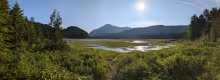 Colden over Flowed Lands